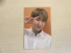 straykids go生 チャンビン 封入 トレカ