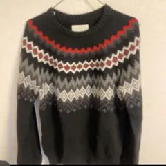 AMERICAN EAGLE フェアアイル柄セーター