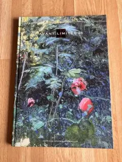 2026年最新】天野喜孝 アールビバンの人気アイテム - メルカリ