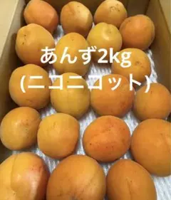 あんず2kgのサムネイル