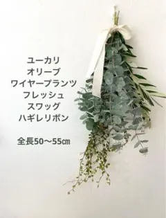 ユーカリ オリーブ ワイヤープランツ フレッシュ スワッグ 【ハギレリボン付き】