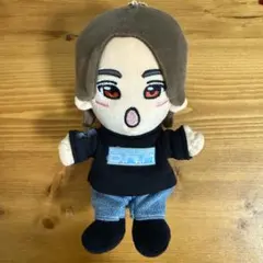 ぬい用 AぇツアーTシャツ DNAロンＴ1枚