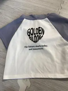 Item thumbnail for item c83ceaed-18ad-4b3a-805c-6cd8c94862ca