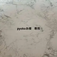 pyokoあ様　専用