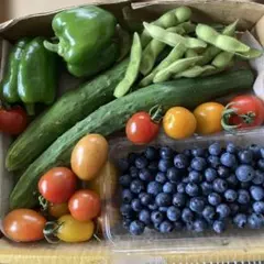 農薬不使用ブルーベリーとと野菜セットのサムネイル