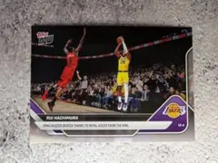 Item thumbnail for item 6242d99e-b9cd-4617-8073-a03fac61573e