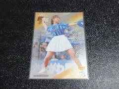 Item thumbnail for item 3675806a-c71e-44d2-9c7a-e30af86ee57a