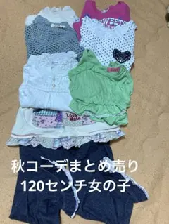キッズ服セット 120cm トップスとパンツ