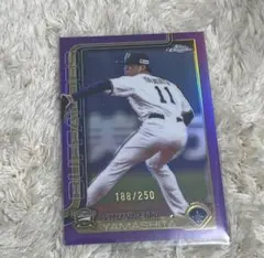 Item thumbnail for item 30638ce6-49fb-419e-bd53-c786cc5ec8cf