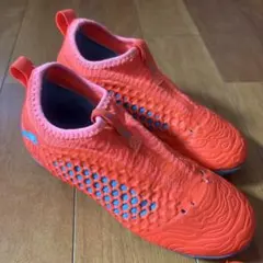 Item thumbnail for item 551f931f-e012-4512-a55c-ce90c88d8dc5