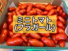 ミニトマト(フラガール)2kg ②