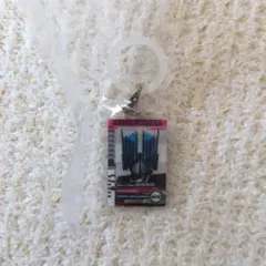 仮面ライダー めじるしアクセサリー3 ライダーカード (カメンライドディエンド)