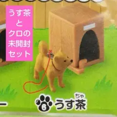 Item thumbnail for item b7d3ad8b-83a3-42d2-99b2-a0dfb0552525