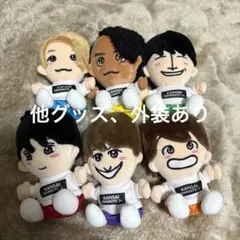 Aぇ! group あけおめ　ちびぬい　6体　6人　セット　まとめ売り あけおめ ちびぬい Aぇ group 6体 ぬいぐるみ マスコット グッズ 正門