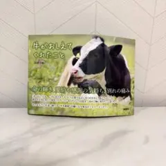 Item thumbnail for item 50f48d7e-aced-4826-8d22-3e41670477e5