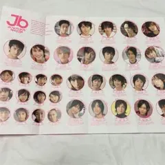 ジュノンボーイフェスティバル レア 雑誌 JUNON チラシ フライヤー