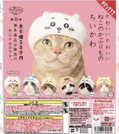 ねこのかぶりもの　ちいかわ ガチャガチャ ハチワレ モモンガ