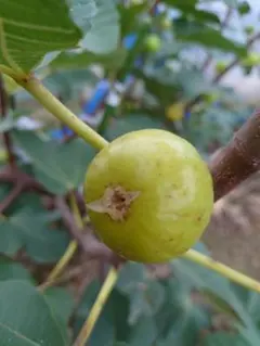 山岳様 リクエスト 3点 まとめ商品