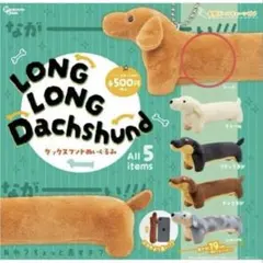 LONG LONG Dachshund ダックスフンド　レッド
