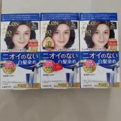 DARIYA SALON de PRO 白髪染め 5A　3個のサムネイル