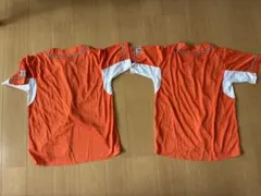 Item thumbnail for item 3ee06693-ddf0-4387-ba33-0eaf593a66c4