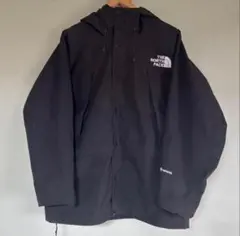 THE NORTH FACE GORE-TEX マウンテンパーカー ブラック M