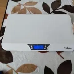 Item thumbnail for item 2d67c281-1de1-4efd-b43d-ba1b65564546