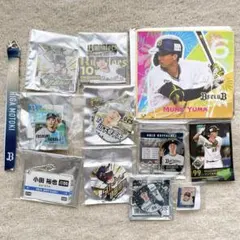 オリックス・バファローズ グッズ まとめ売り