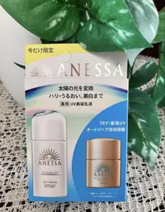 Item thumbnail for item 83949dd7-4f84-4eec-9ab8-8b83ae5582c1