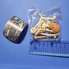 【処分価格❗】タカアシガニ★深海のひみつ