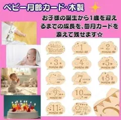 Item thumbnail for item 86fbbaae-7cb0-4fb8-a9c0-bf8b4495d8d3