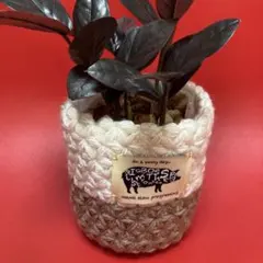 ホワイトとベージュの鉢カバー／小物入れ