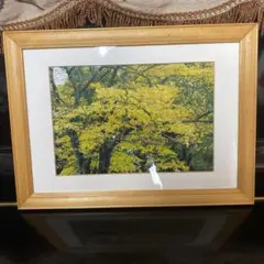 フォトフレーム(約210mm×約297mm)