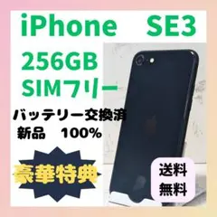 最終値下げ【超美品 iPhone SE(第3世代) 256GB SIMフリー