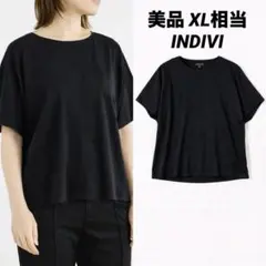 【美品】INDIVI クルーネックシアースリーブデザインブラウス 黒 XL相当のサムネイル