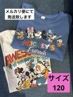 しまむらリトシー　しまむらディズニー　しまむらリトシー120