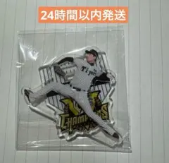 阪神タイガース2025 JERAセ・リーグ優勝記念くじ 岩崎優 アクリルスタンド