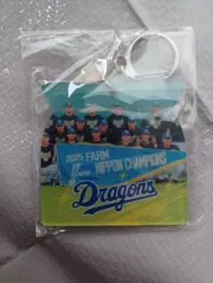中日ドラゴンズ ファーム日本一 集合 アクリルキーホルダー ドラゴンズガチャ