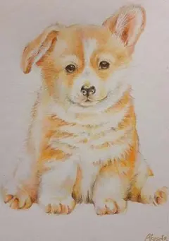 色鉛筆画(13.5×19cm)「んばぁ〜♪」犬・コーギー♡ 色鉛筆画(13.5×19cm)「んばぁ〜♪」犬・コーギー♡ - メルカリ