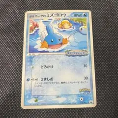 ポケモンカード ポケパークのミズゴロウ プロモ 048/PCG-P 2005