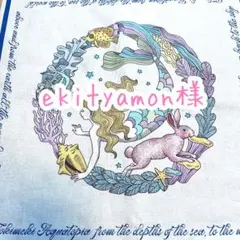 浅井健一 SEXY STONES RECORDS テーブルクロス - メルカリ