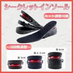 シークレット インソール フリーサイズ男女兼用 中敷き 調整可能 3段階調整のサムネイル