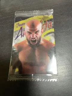 RIZINウエハース　アーチュレッタ選手