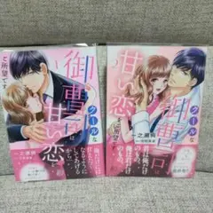 クールな御曹司は甘い恋をご所望です 1.2巻