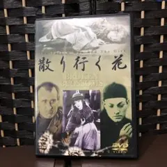 散り行く花 Broken Blossoms DVD