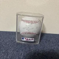 2025年最新】大谷翔平直筆サインボールの人気アイテム - メルカリ