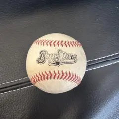 BayStars 硬式野球ボール