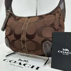 【極美品】コーチ ソーホー シグネチャー ワンハンドバッグ レザー キャンバス