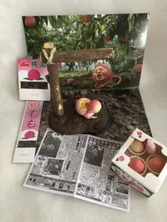 こびとづかん　カクレモモジリ捕獲セット