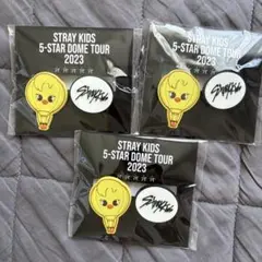 STRAY KIDS 5-STAR DOME TOUR 2023 スキズ ピリ